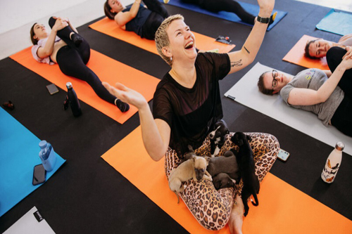 puppy-yoga-in-bristol1 puppy yoga bristol1