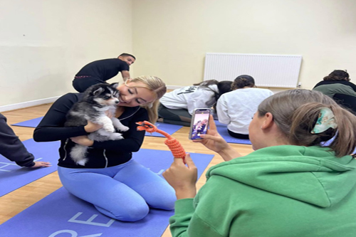 puppy-yoga-in-leeds1 puppy-yoga-in-leeds1