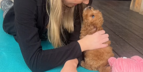 puppy-yoga-brighton-photo1 puppy-yoga-brighton-photo1